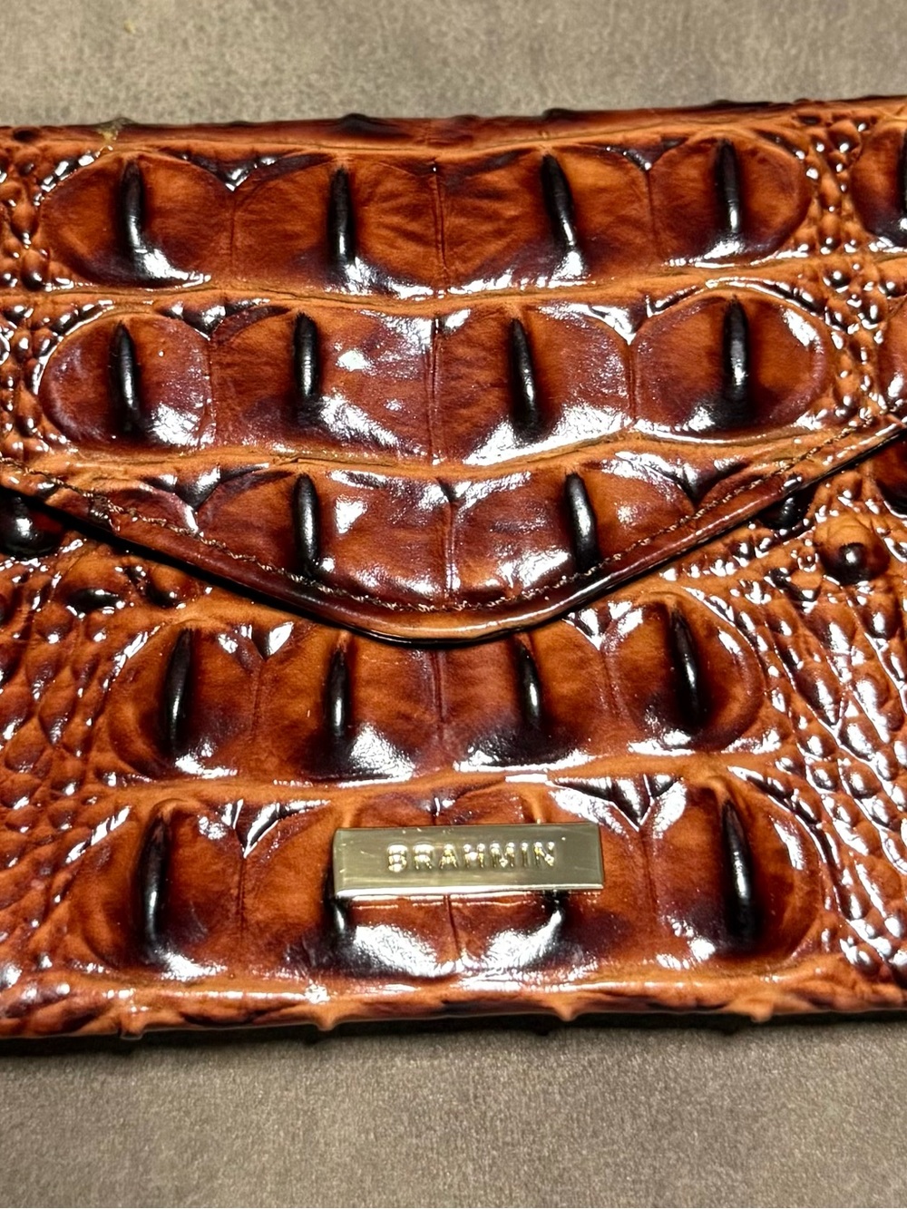 Brahmin Mini Envelope Case